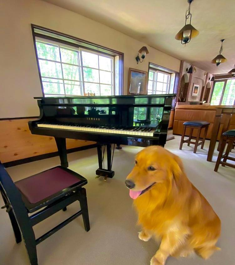 Panketo Lodge & Yoga Studio Hakuba Bagian luar foto